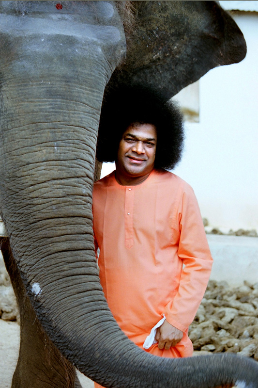 Swami&apos;s Love for Animal and Birds