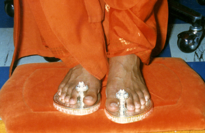 Lotus Feet